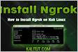 Install ngrok on Linux Snap Store